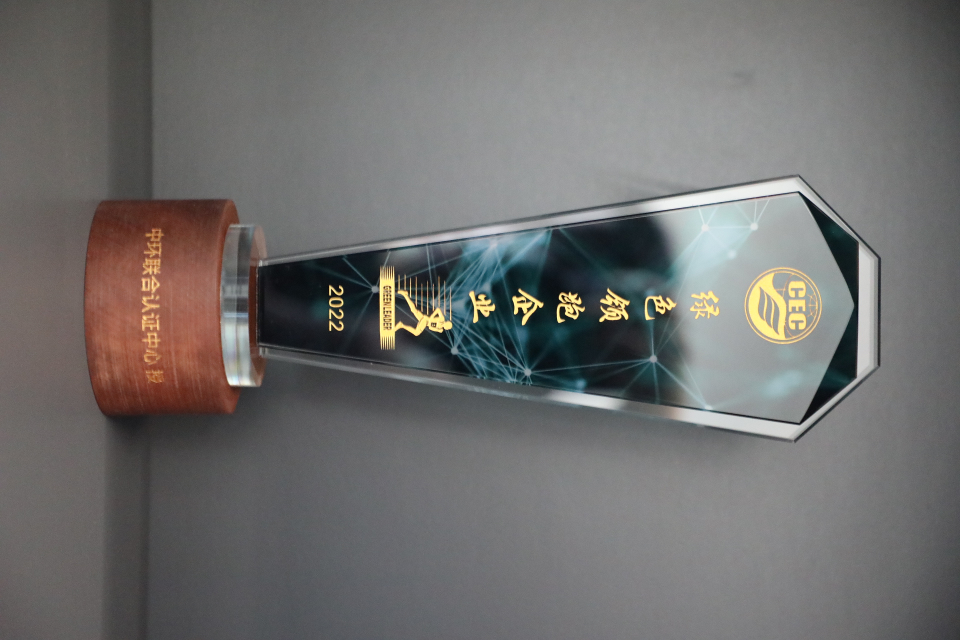 美巢深耕家裝環(huán)保輔料賽道，榮獲“綠色領(lǐng)跑企業(yè)”稱號(hào)